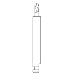 (B2) Forêt CA 203S-012