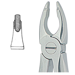 Davier Strie fig.34 AD