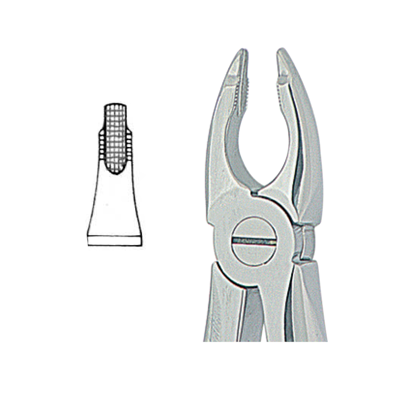 Davier Strie fig.34 AD