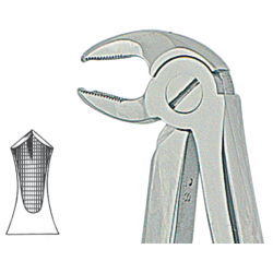 Davier anglais fig.22 AD