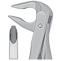 Davier anglais fig.36 N