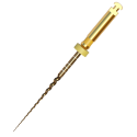 Dexta-taper Gold (L31mm) F1 (x6)