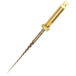Dexta-taper Gold (L31mm) F1 (x6)